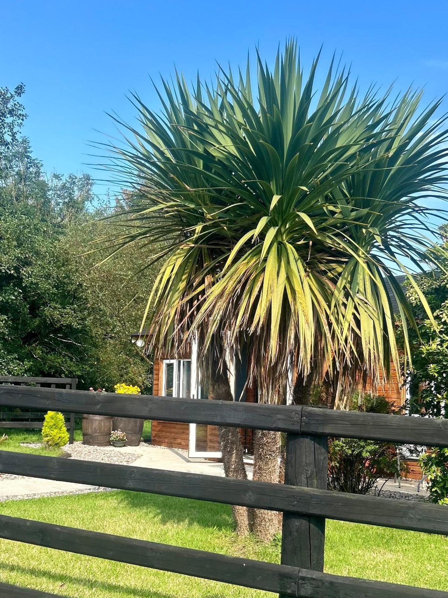 Villa Omagh Sixmilecross Exterior foto